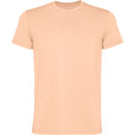 Camiseta Roly CA 2200 CORGI hombre algodón efecto lavado - Imagen 9