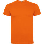 Camiseta Roly CA 6502 DOGO PREMIUM hombre algodón 165g - Imagen 17