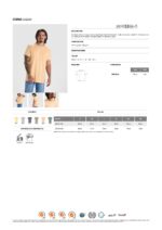 Camiseta Roly CA 2200 CORGI hombre algodón efecto lavado - Imagen 2