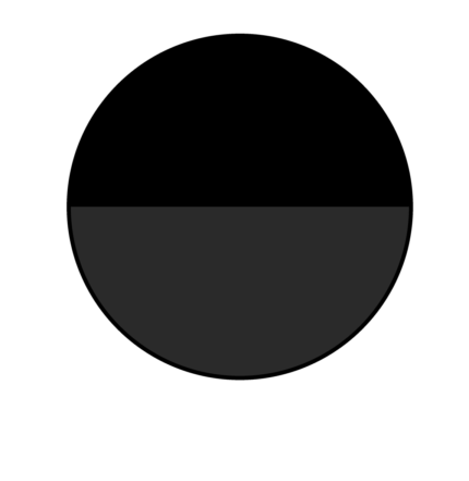 02243 negro/negro vigore
