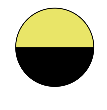 22102 amarillo fluor/negro