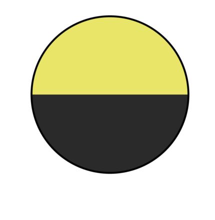221243 amarillo fluor/negro vigore