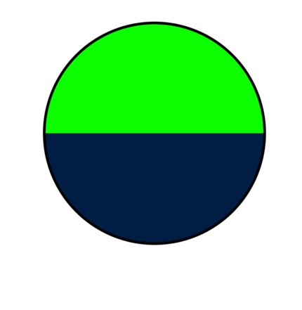 22255 verde fluor/marino