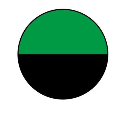 22602 verde helecho/negro