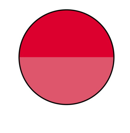 60245 rojo/rojo vigore